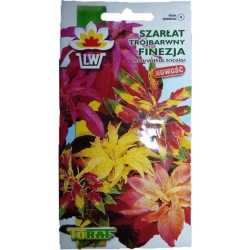 Nasiona Szarłat trójbarwny Finezja Tor468