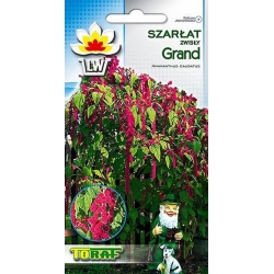 Nasiona Szarłat zwisły Grand Tor467