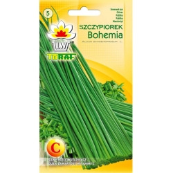 Nasiona Szczypiorek Bohemia Tor226