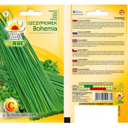 Nasiona Szczypiorek Bohemia Tor226