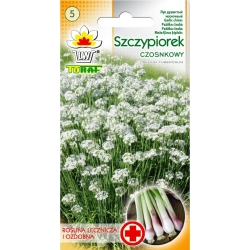 Nasiona Szczypiorek czosnkowy Tor227