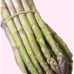 Nasiona Szparag Mary Washington Tor228