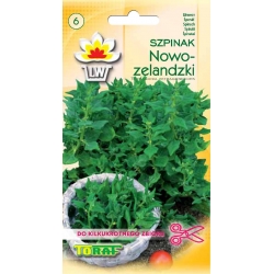 asiona Szpinak Nowozelandzki Tor230