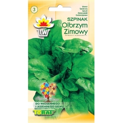 Nasiona Szpinak Olbrzym Zimowy Tor231