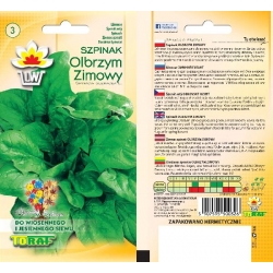 Nasiona Szpinak Olbrzym Zimowy Tor231
