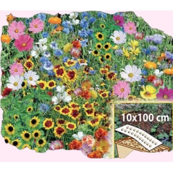 Nasiona Tęczowa Rabatka Tor528