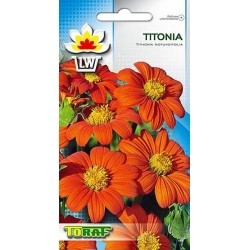 Nasiona Titonia Tor470