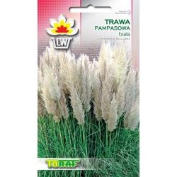  Nasiona Trawa Pampas. Biała Tor473