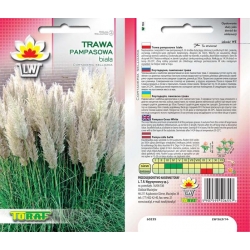 Nasiona Trawa Pampas. Biała Tor473