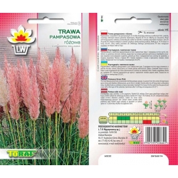 Nasiona Trawa Pampas. Różowa Tor474