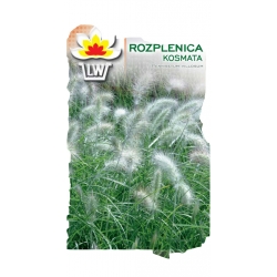 Nasiona Trawa ROZPLENICA KOSMATA Tor475