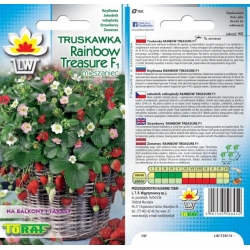 Nasiona Truskawka Rainbow Treasure Tor179