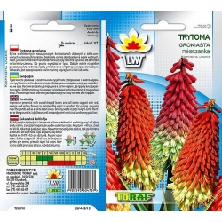 Nasiona Trytoma groniasta Tor471