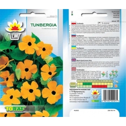 Nasiona Tunbergia Tor477