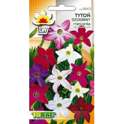  Nasiona Tytoń ozdobny Tor481