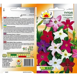  Nasiona Tytoń ozdobny Tor481