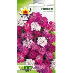  Nasiona Ubiorek Tor482