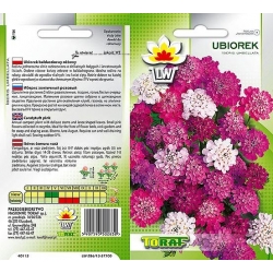  Nasiona Ubiorek Tor482