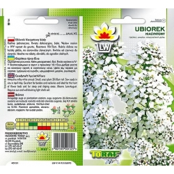  Nasiona Ubiorek hiacyntowy Tor484