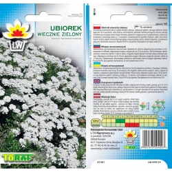 Nasiona Ubiorek wiecznie zielony Tor483