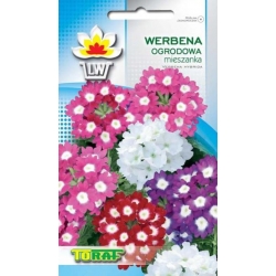  Nasiona Werbena ogrodowa Tor486