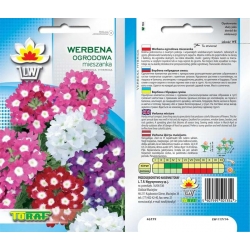 Nasiona Werbena ogrodowa Tor486