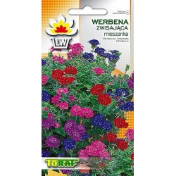 Nasiona Werbena zwisająca Tor487