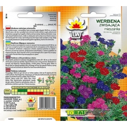 Nasiona Werbena zwisająca Tor487