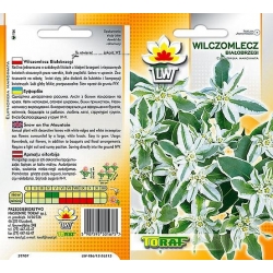 Nasiona Wilczomlecz białobrzegi Tor488