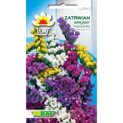 Nasiona Zatrwian wrębny Tor491