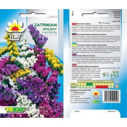 Nasiona Zatrwian wrębny Tor491