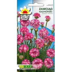 Nasiona Zawciąg nadmorski Tor492