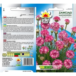 Nasiona Zawciąg nadmorski Tor492