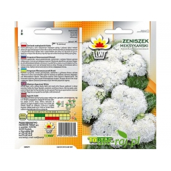 Nasiona Żeniszek meksykański Tor497