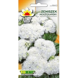 Nasiona Żeniszek meksykański Tor497