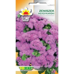 Nasiona Żeniszek meksykański Tor499
