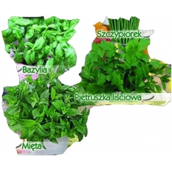 Nasiona Ziołowy Zakątek, zioła mix Tor524