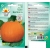 Nasiona Dynia olbrzymia BAMBINO Tor37