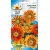 Nasiona Gazania błyszcząca Tor332
