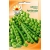 Nasiona Groch cukrowy Ambrosia Tor62