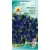 Nasiona Groszek pachnący Royal Navy Blue Tor350