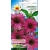 Nasiona Jeżówka purpurowa Tor354