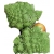 Nasiona Kalafior Romanesco piramidki Tor72