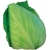 Nasiona Kapusta głowiasta biała Tor82