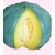 Nasiona Melon cukrowy Charentaise Tor111