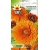 Nasiona Nagietek pomarańczowy Tor403
