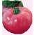  Nasiona Pomidor gruntowy Malinowy Ożar Tor156