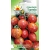 Nasiona Pomidor gruntowy TIGERELLA Tor167