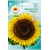 Nasiona Słonecznik jadalny paskowany Tor224