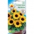 Nasiona Słonecznik ozdobny Karłowy Bambino Tor449